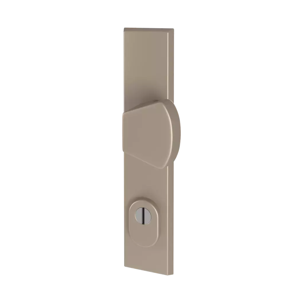 Tytan F9 drzwi-wejsciowe dodatki-do-drzwi galki odin interior