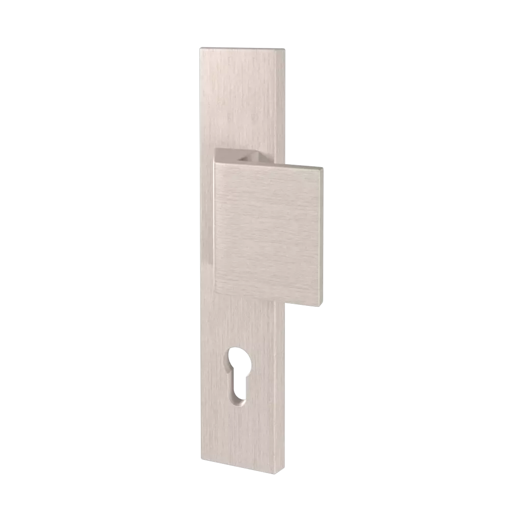 Magnus ✨ drzwi-wejsciowe metoda-otwierania klamka-galka  