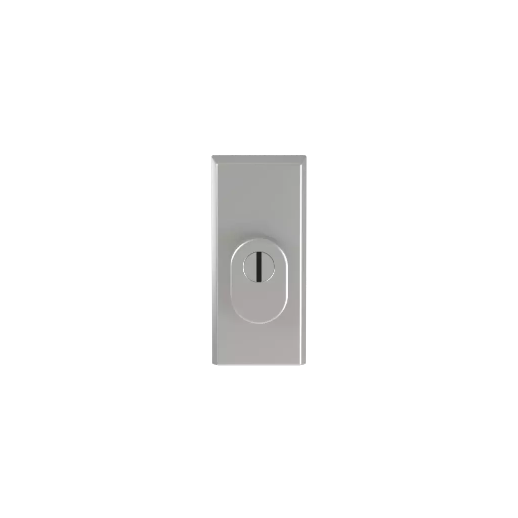 Srebrny F1 drzwi-wejsciowe dodatki-do-drzwi rozety odin srebrny-f1 