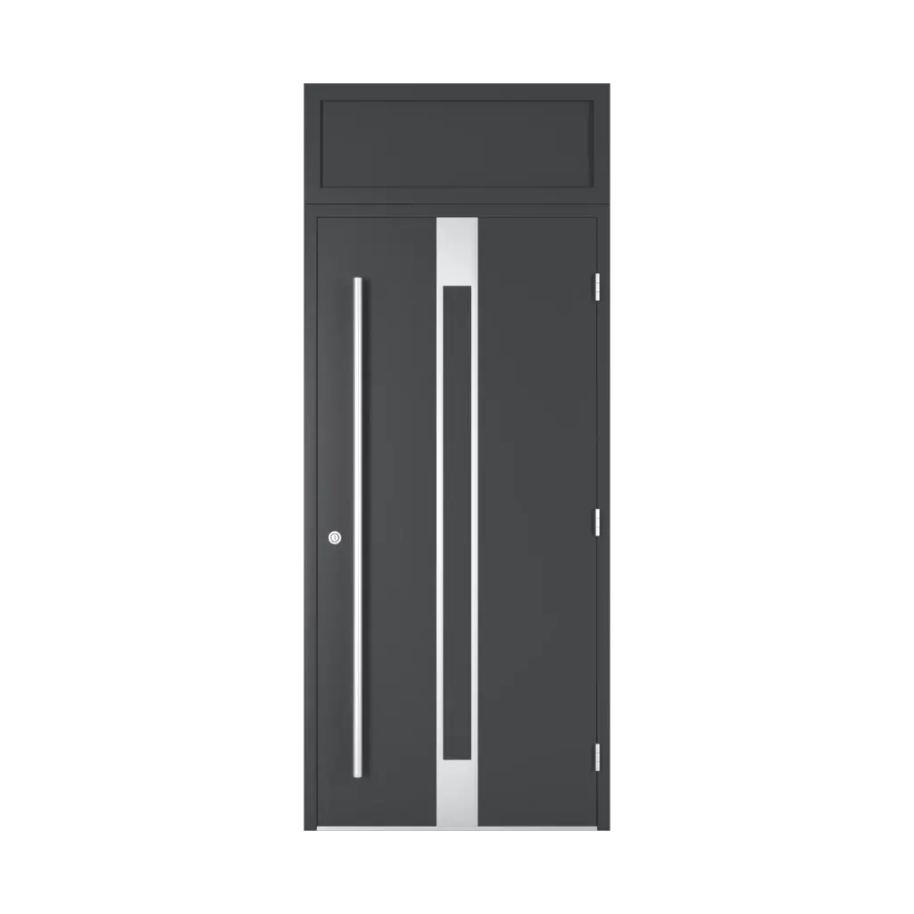 Naświetle górne drzwi-wejsciowe rodzaje-naswietla drzwi-z-naswietlem-pelnym 