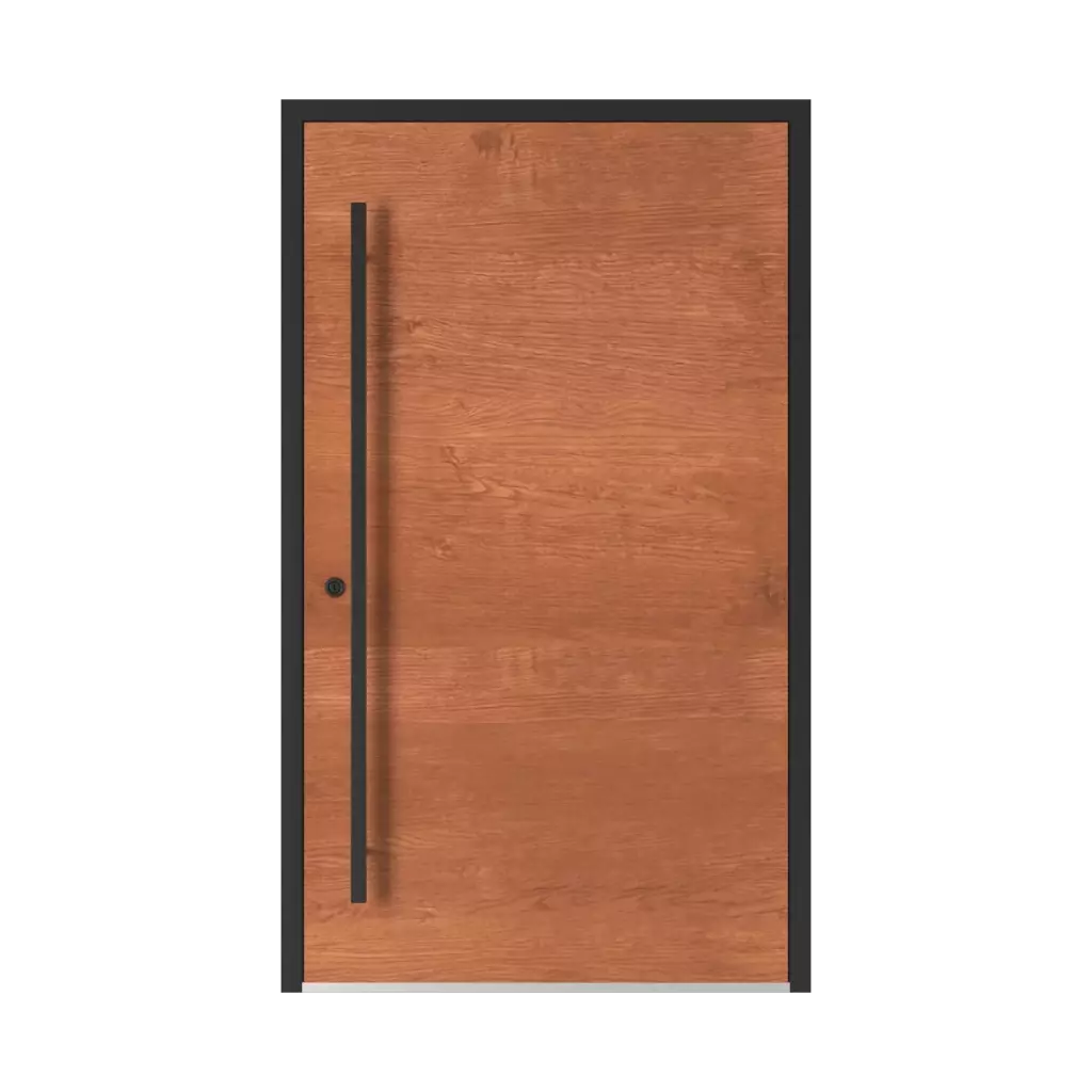 Model 5015 WD produkty drzwi-wejsciowe    