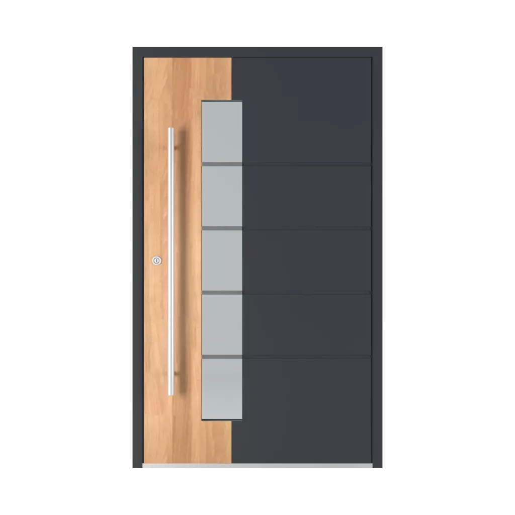 Model 6107 drzwi-wejsciowe modele aluminium 