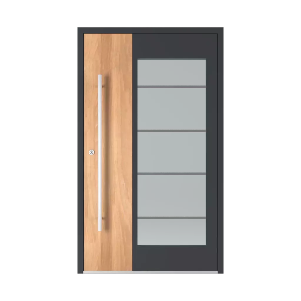 Model 6110 ✨ drzwi-wejsciowe kolory-drzwi kolory-ral ral-6028-zielony-sosnowy 