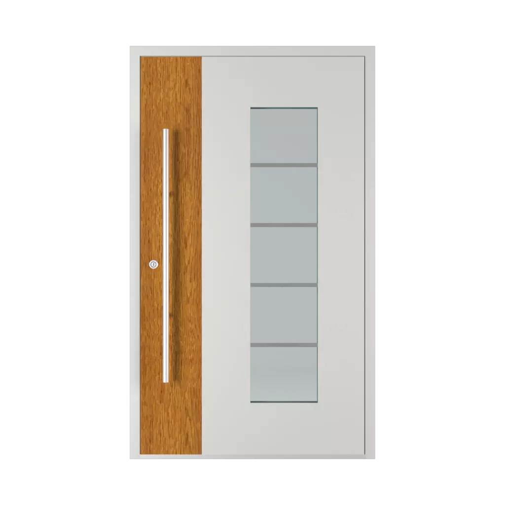 Model 6113 WD produkty drzwi-wejsciowe    