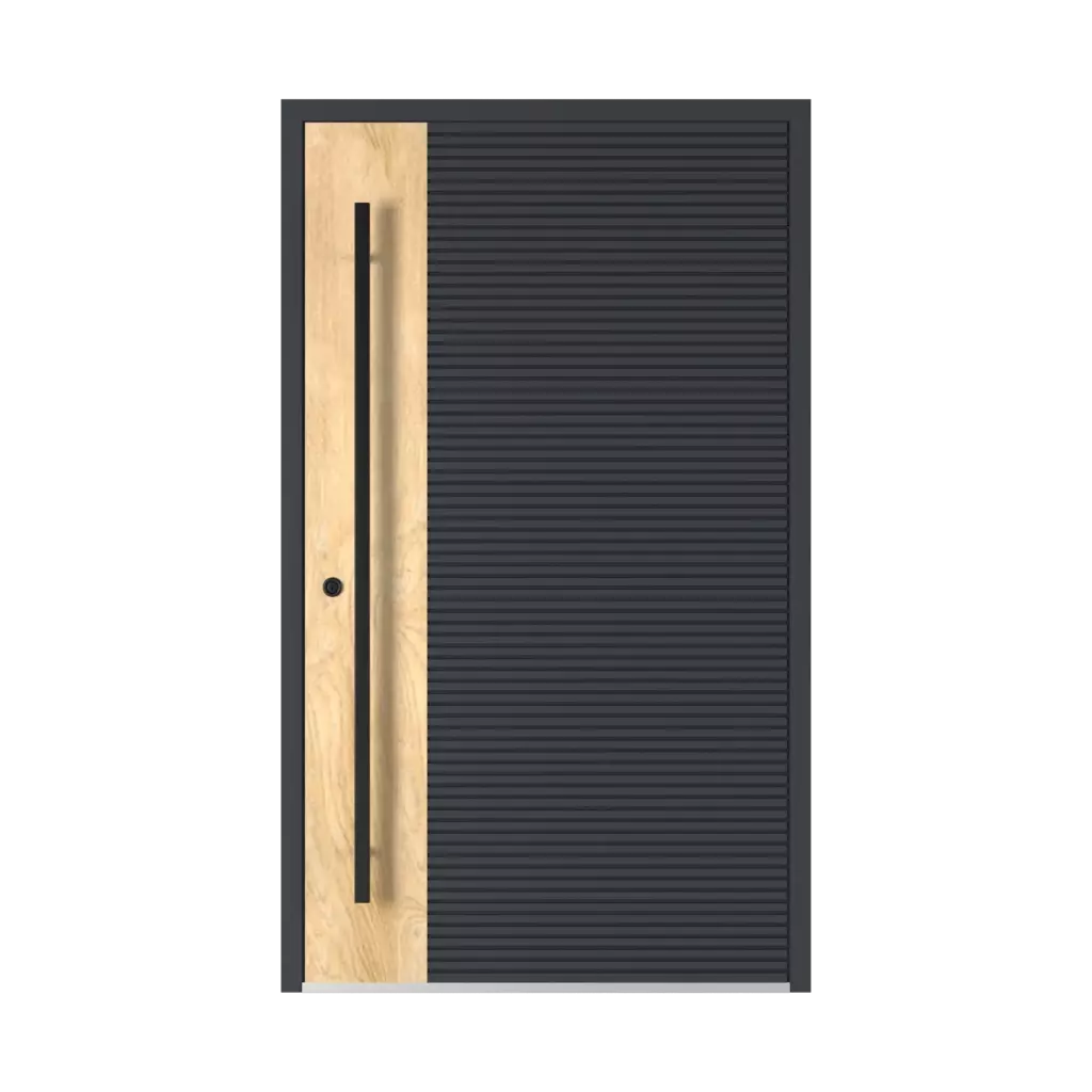 Model 6129 🆕 produkty drzwi-wejsciowe    
