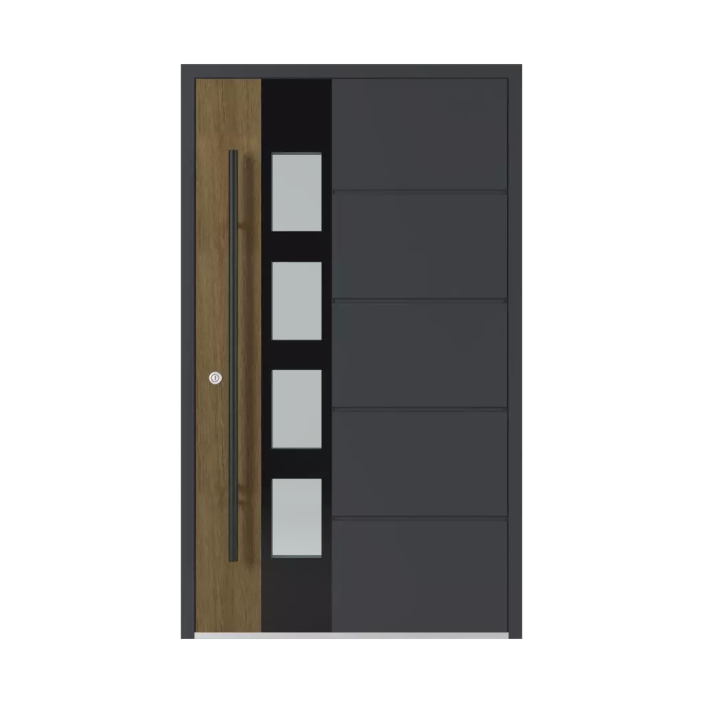 GL05 drzwi-wejsciowe modele aluminium 