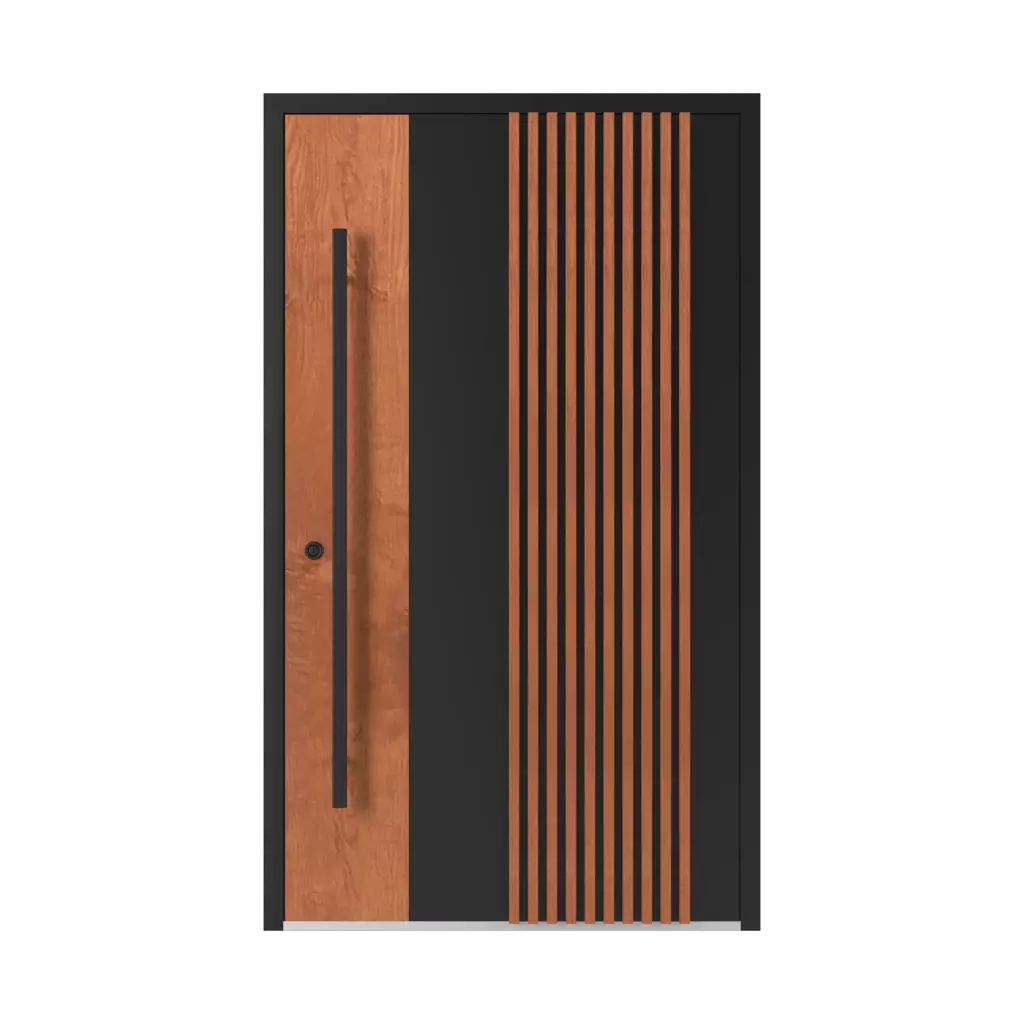 Model LL 01 🏆 produkty drzwi-wejsciowe    