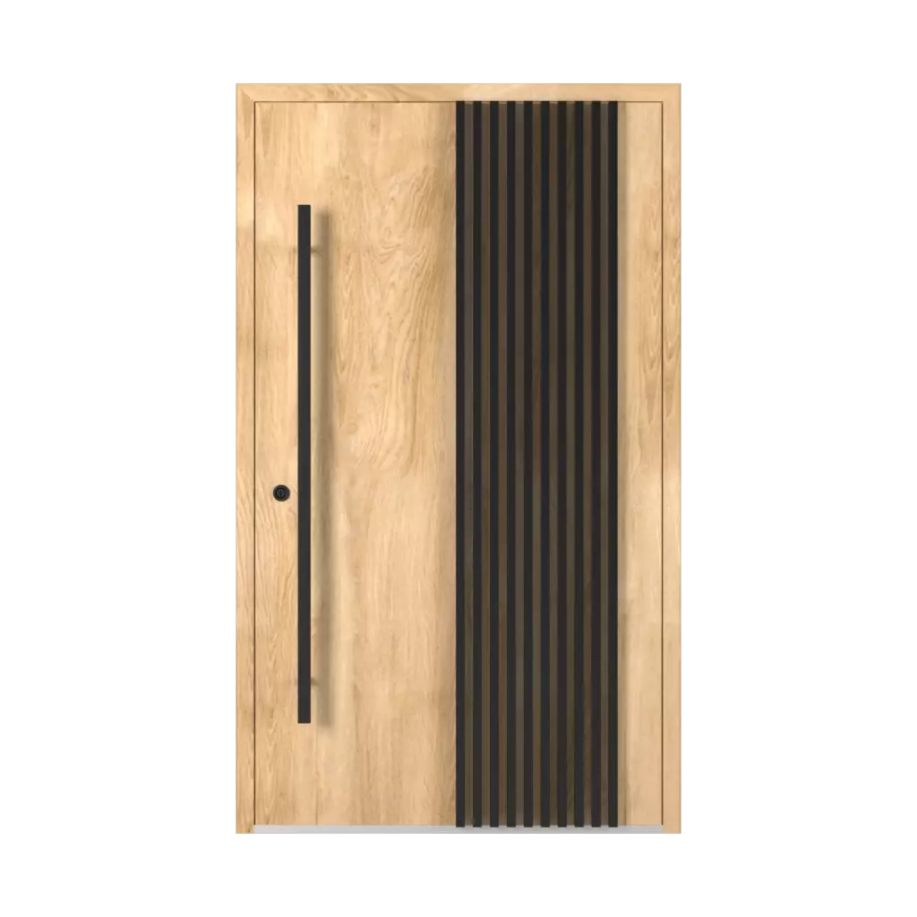 Model LL 02 ðŸ�† drzwi-wejsciowe nowe-i-modne   