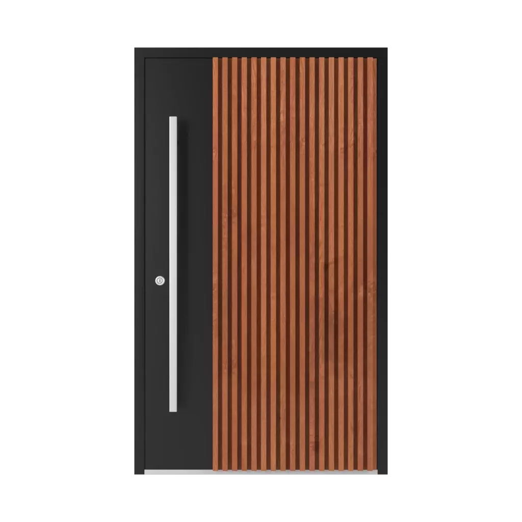 Model LL 05 🏆 produkty drzwi-wejsciowe    