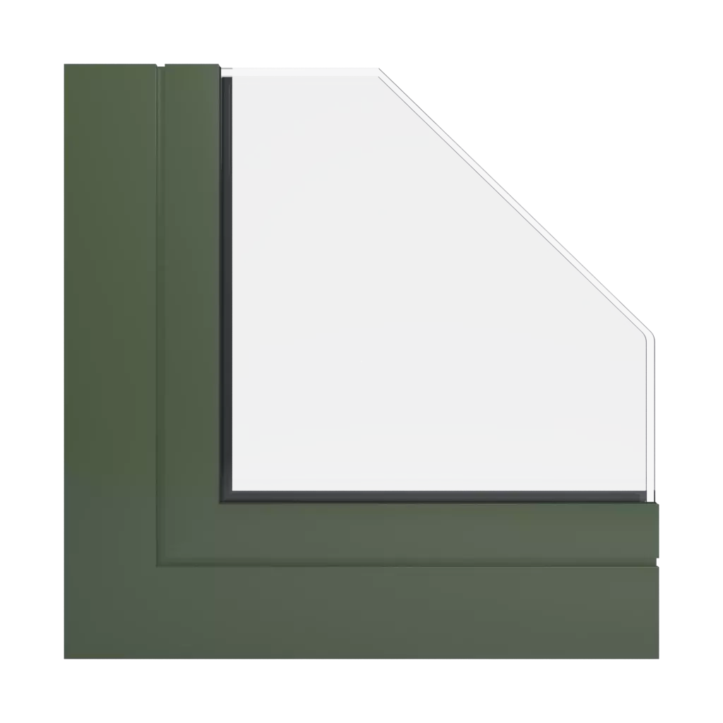 RAL 6003 zielony oliwkowy okna kolory aliplast 
