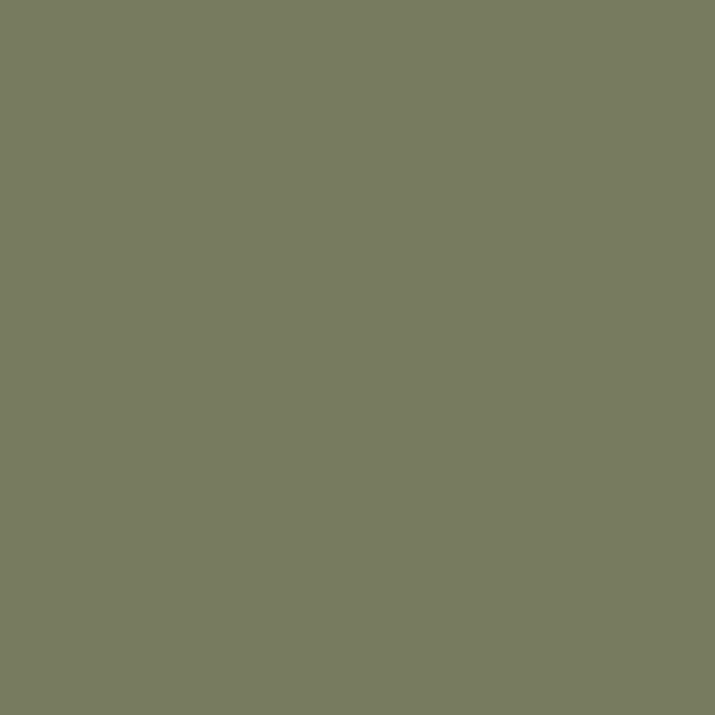 RAL 6013 zielony trzcinowy okna kolory aluminium-ral ral-6013 texture