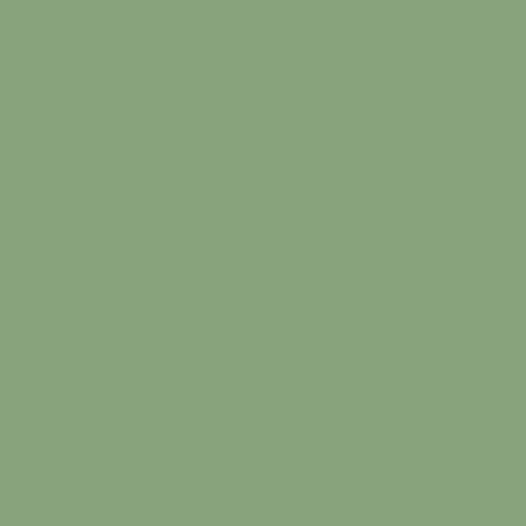 RAL 6021 zielony blady okna kolory aluminium-ral ral-6021 texture