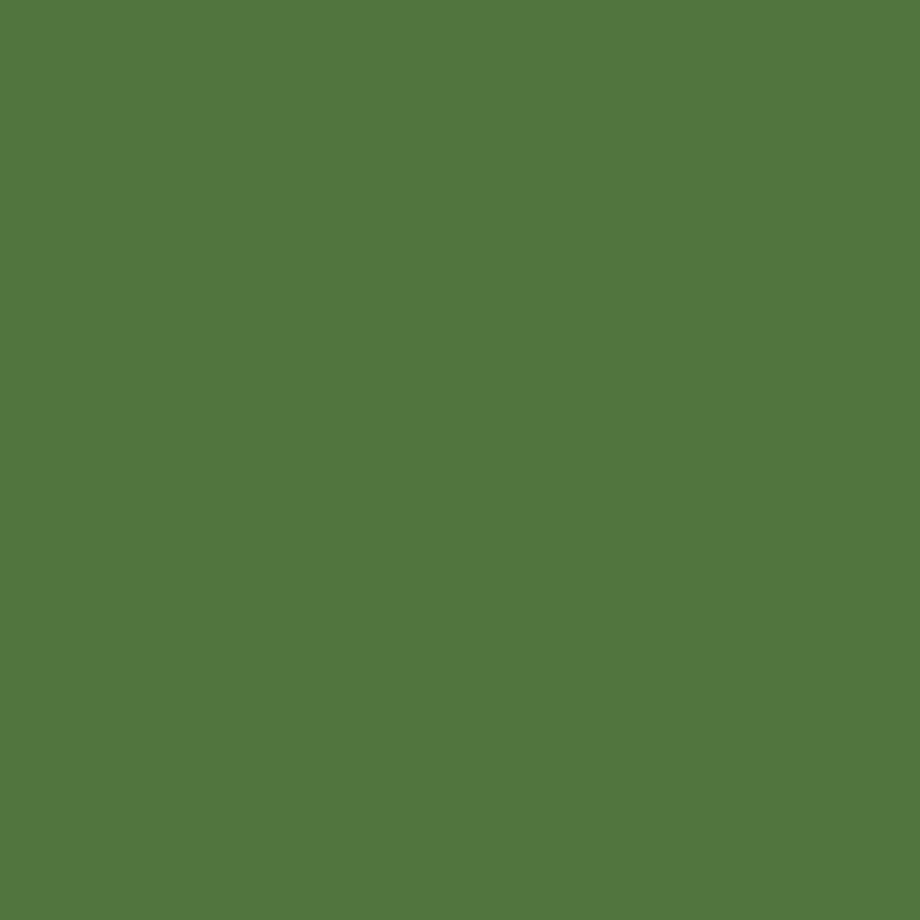 RAL 6025 zieleń paproci okna kolory aluminium-ral ral-6025 texture