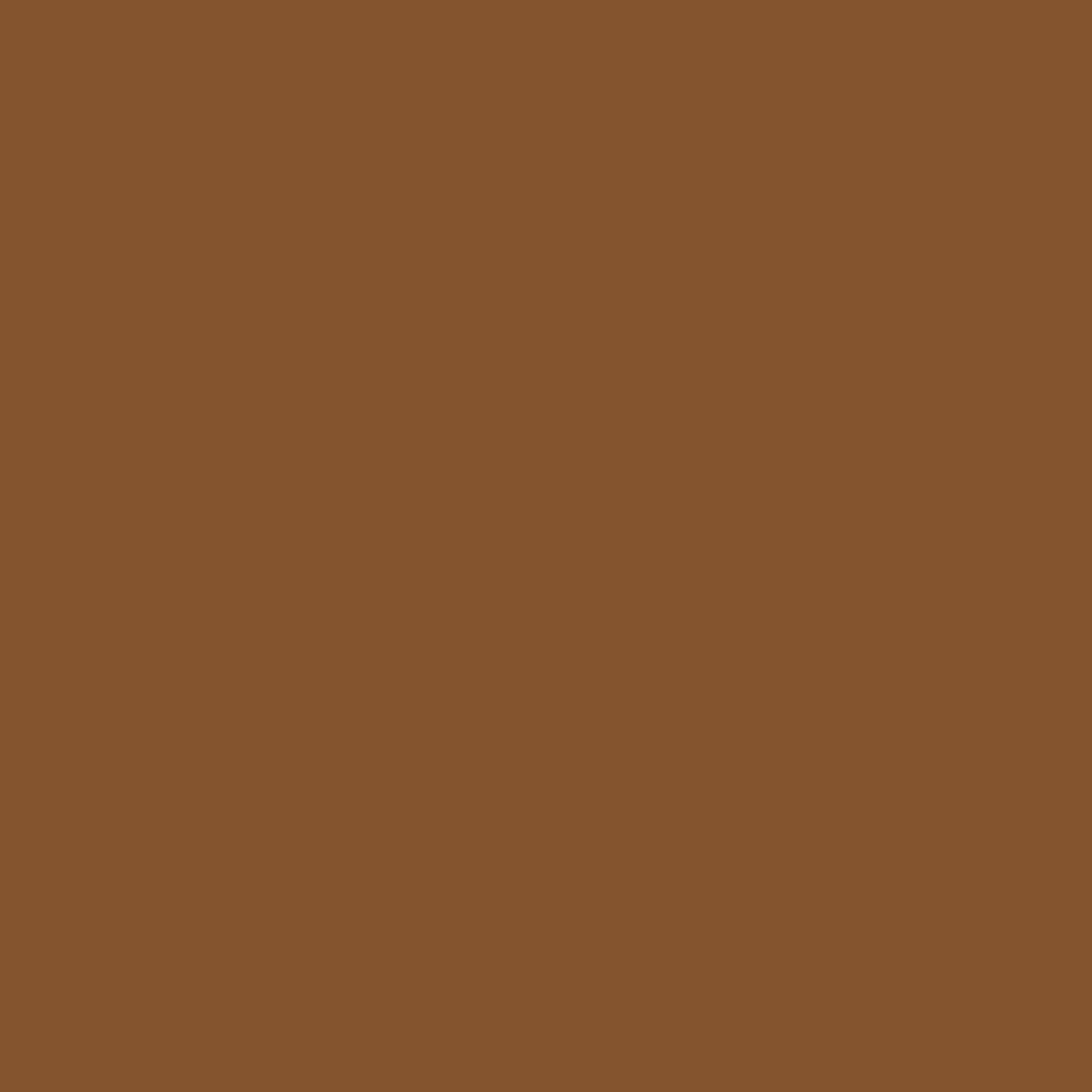 RAL 8003 brązowy miodowy okna kolory aluminium-ral ral-8003 texture